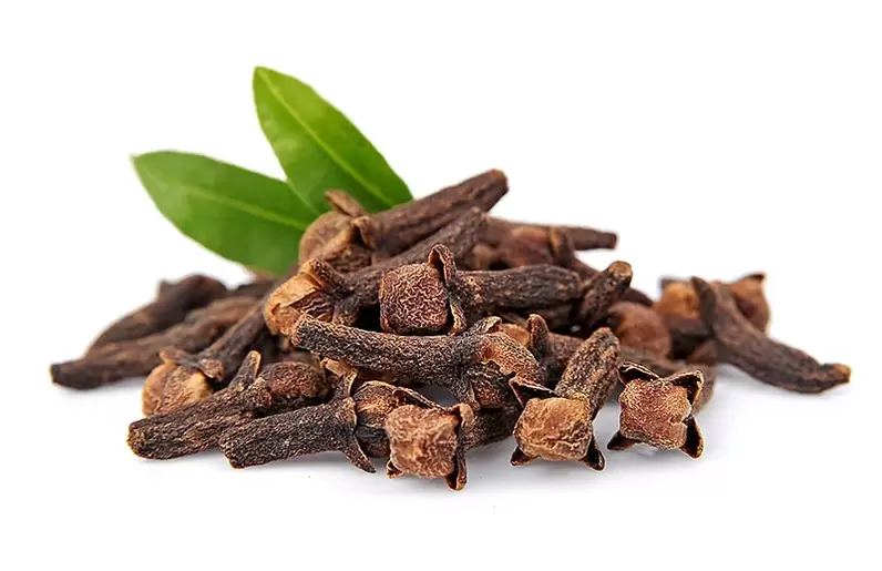 Composition Germivir – clove extract