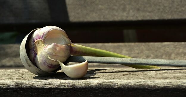 Garlic against worms