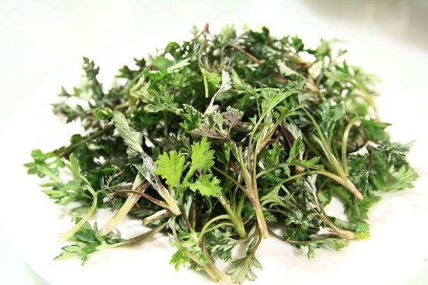 Parsley of worms